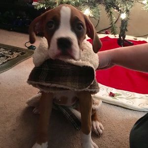 Meet your Posher, Gretchen